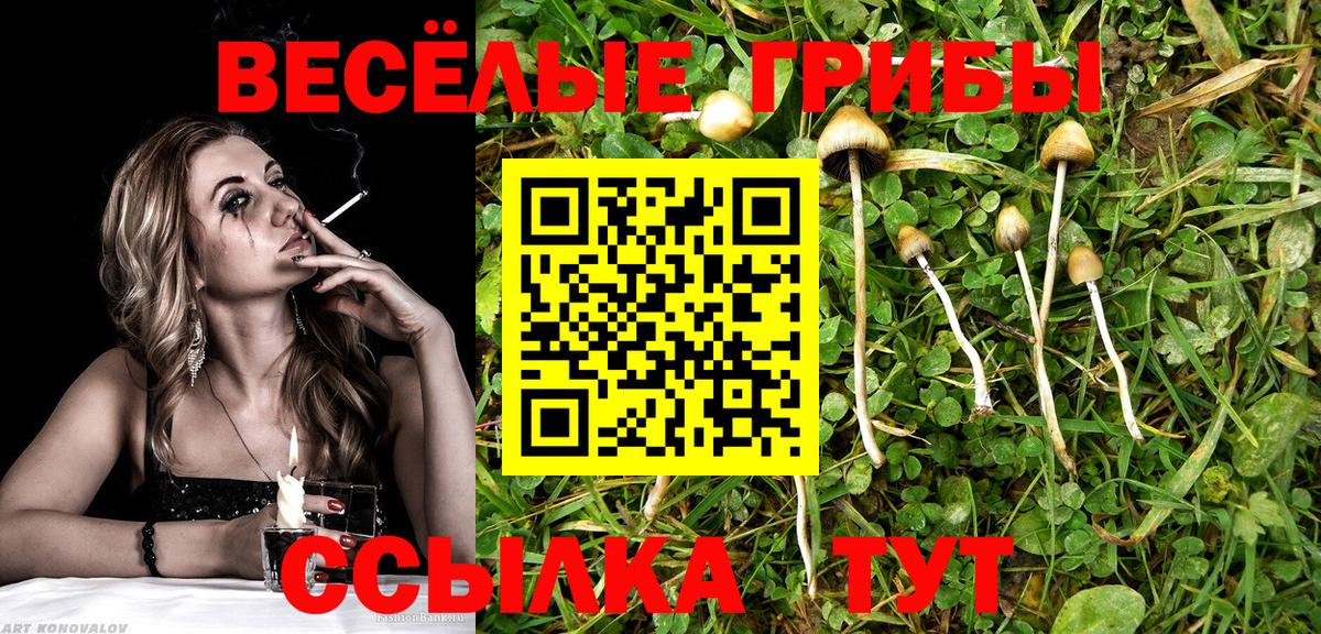 Галлюциногенные грибы мухоморы Конаково